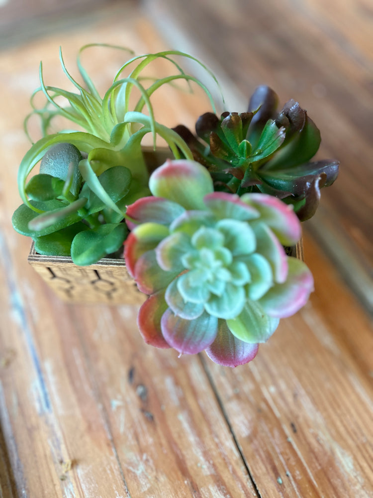 Mid-Century Lifelike Succulent Planter