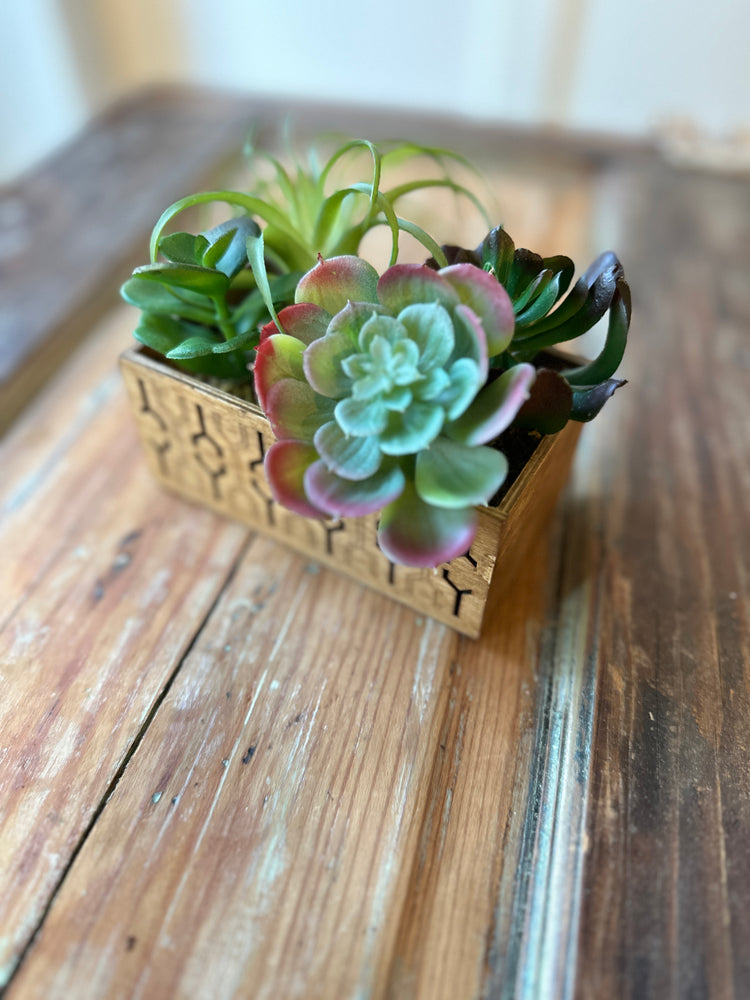 Mid-Century Lifelike Succulent Planter