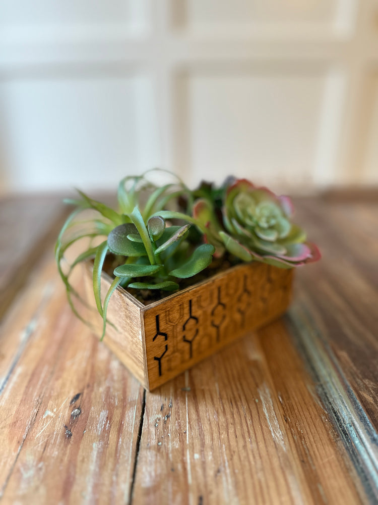 Mid-Century Lifelike Succulent Planter