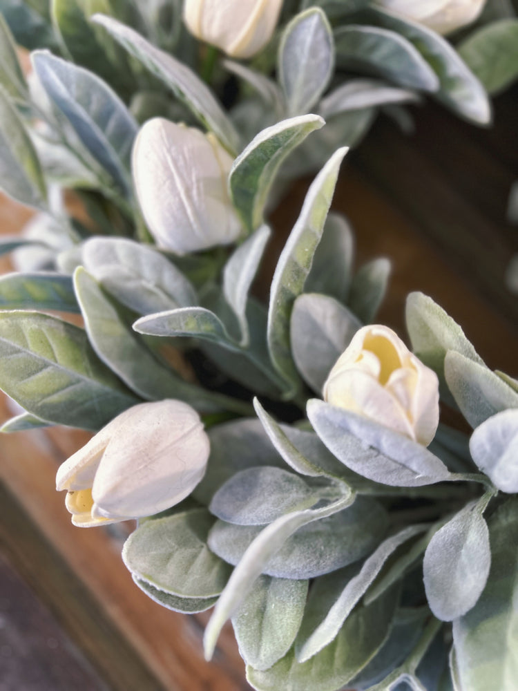 Spring Lamb's Ear Wreath with White Tulips